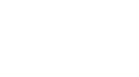 Stryker Leap